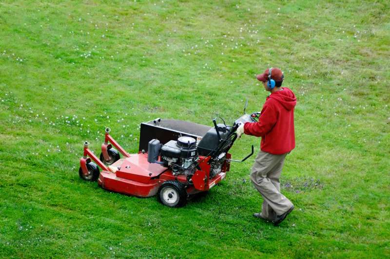 Garden Maintenance